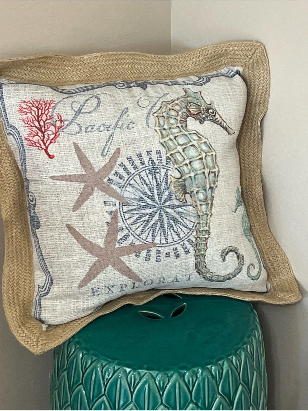 Coastal Seahorse Decorative Pillow - Beige & Aqua 20”x20” Rope Edge